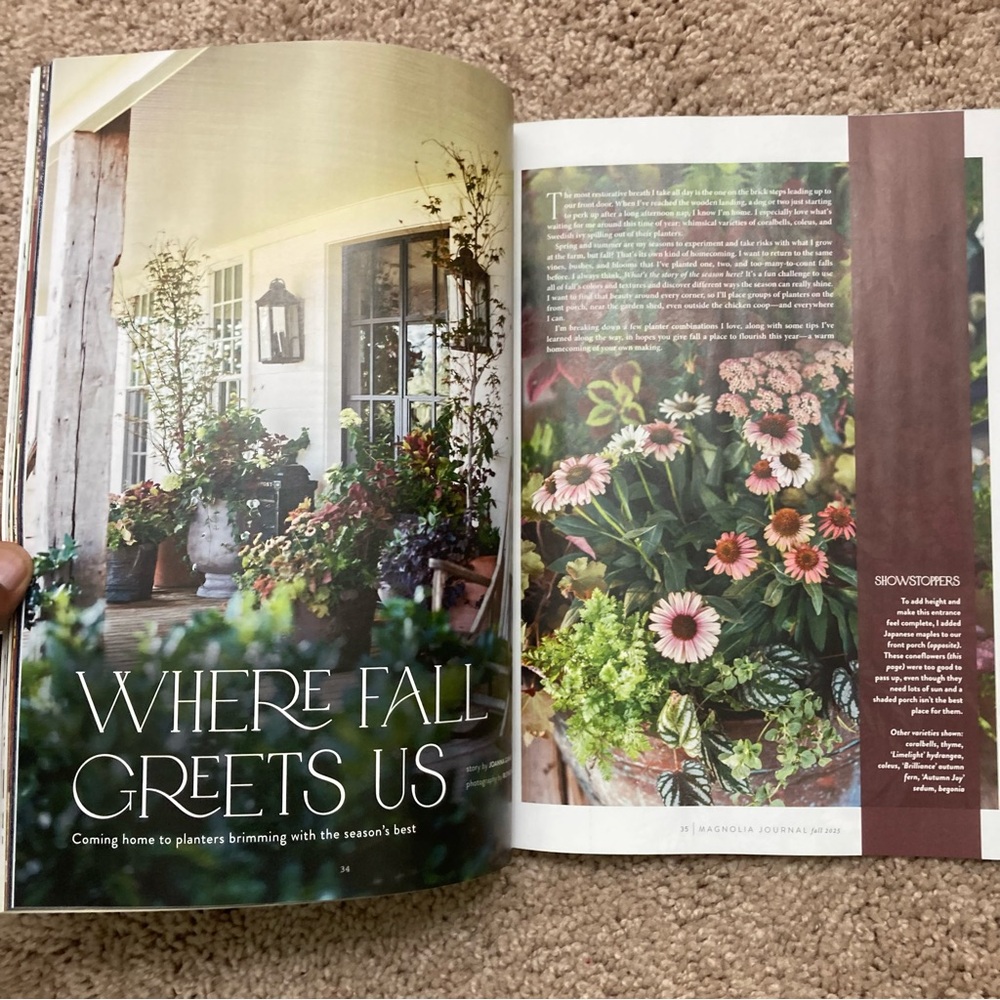 MAGNOLIA MAGAZINE Fall 2025 Journal Issue No. 36 Embracing What Matters Most - Picture 7 of 7